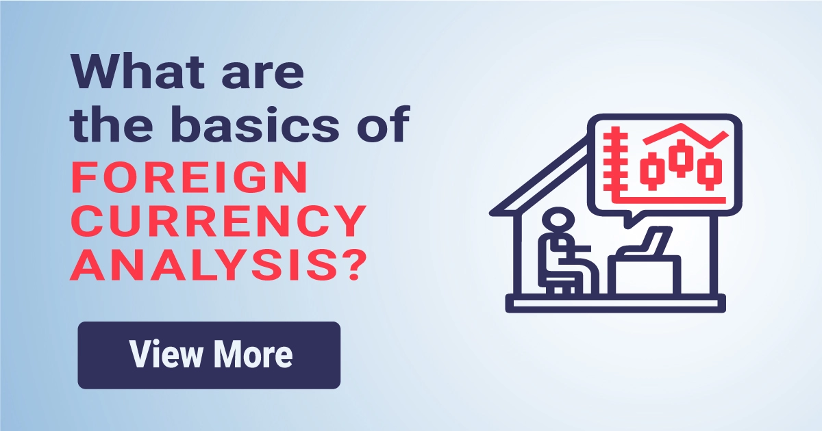 What are the basics of foreign currency analysis